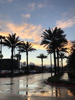 Sunset right in front of Hoag center