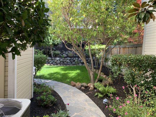 Walk way from the garage to the backyard and backyard landscaping.