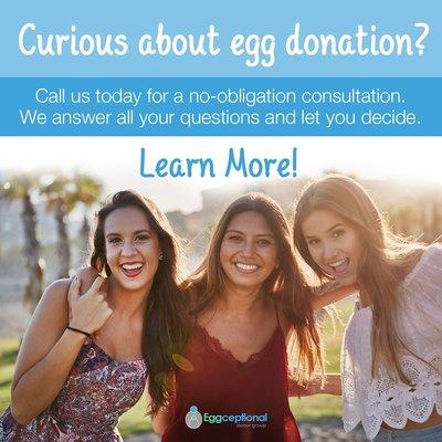 Curious about egg donation?