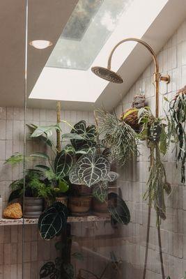 A scene from a former project--handmade tiles line an open shower filled with plants. A skylight brightens the space.