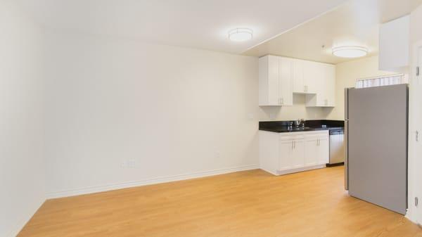 Living Room and Kitchen