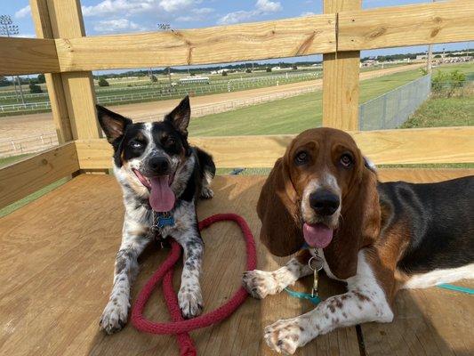 Harper and her boyfriend Bingo who also took Lisa's classes