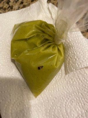 Roach on salsa bag!