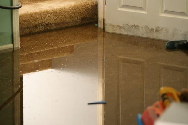 Water damage? Oh no! Call SERVPRO of West Pasco.