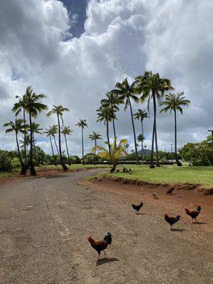 Poli'ahu Heiau