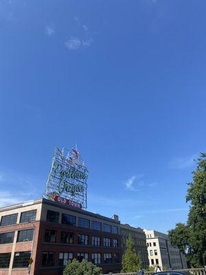 White stag sign faces Burnside