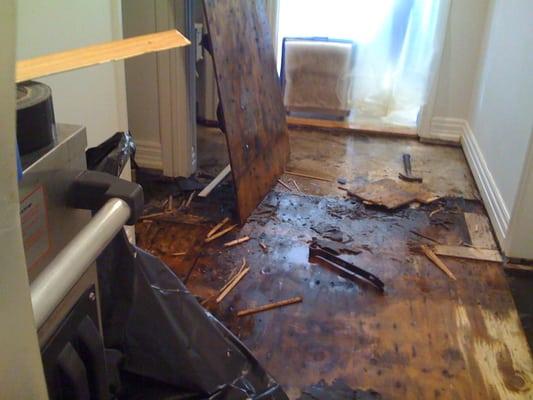 Portland water damage.