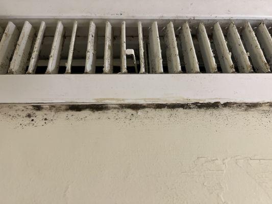 Black mold growing on the a/v vent for the room