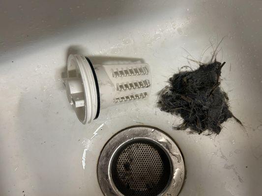 Drain pump FILTER was clogged with cat hair. I did not need a new drain pump for $430.00