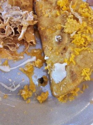 Chicken tacos with a side of fly and roaches. Absolutely disgusting!