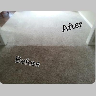 This carpet definitely needed a little TLC!!