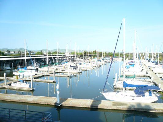 Morning view of the Antioch Marina