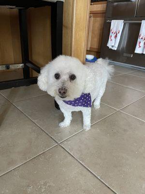 Lina (14) after her haircut on 8/9/24