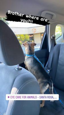 Waiting for his brother at his appointment