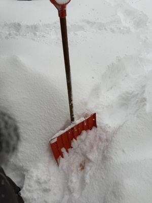 They have these cute ground spatulas.