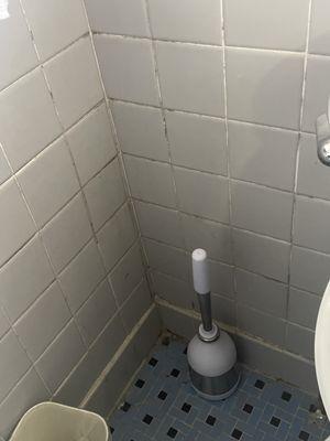 Mold stained bathroom by toilet