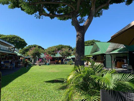 Alii Garden's Marketplace. Our favorite stop.