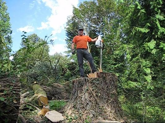 Steve Greenberg Tree Service