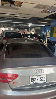 Audi window tint