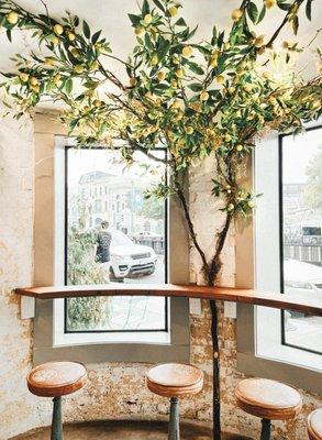 | WINDOW SEATING |