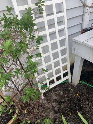 Pulled plants out of the ground to get to air conditioner and did not put back.