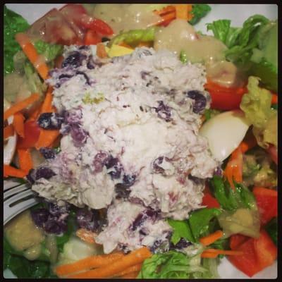 Cranberry walnut chicken salad..delicious!