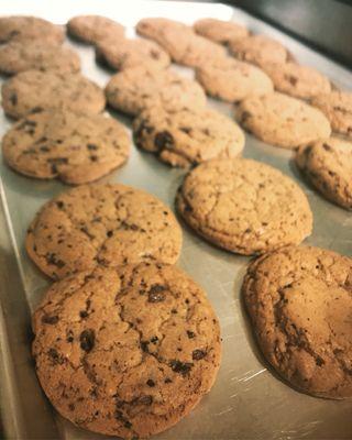 Our Java Chip cookies are made with chocolate covered coffee beans.