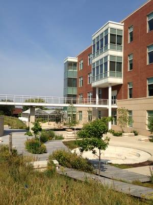 Another view of the patio/garden behind Sciences building.