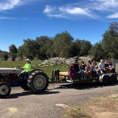 Tractor Pulled Hayrides