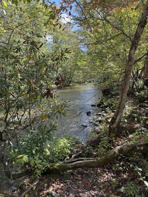 View from the river next to the shop.