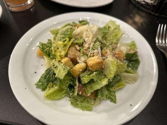 Garlic Caesar Salad (no anchovies; it was big enough that we shared the salad)