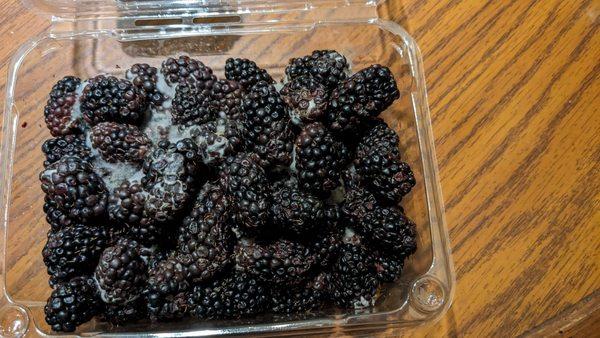 This is the carton of rotten blackberries.Who ever did this should be fired.