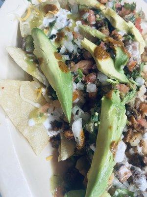 Delicious Nacho Plate w/ Fresh Avocados   Delicioso plato de Nacho con aguacates frescos