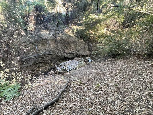 Car in the ravine.