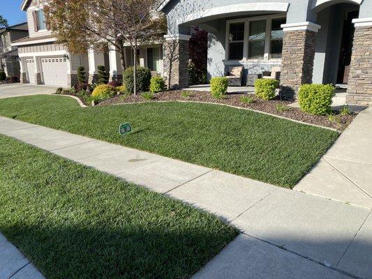 Front yard lawn.