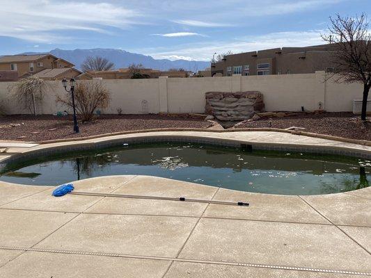 Pool after "opening and cleaning"