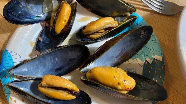 Fresh and meaty mussels