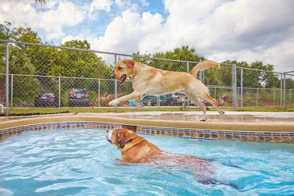 Swim time!