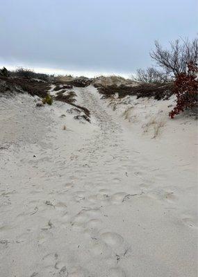 Dune trails