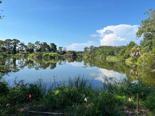 Venice Area Audubon Society