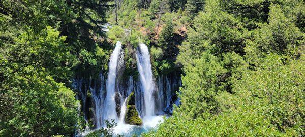 Burney Falls were beautiful, and we made it because of you Mr. Fry!