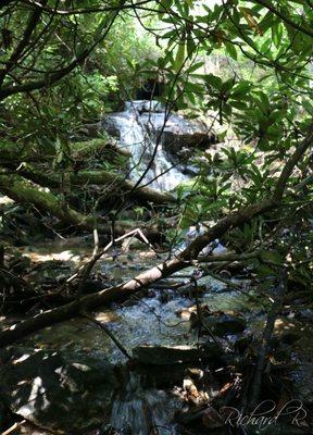 Small waterfall from the culvert under Warwoman Road.