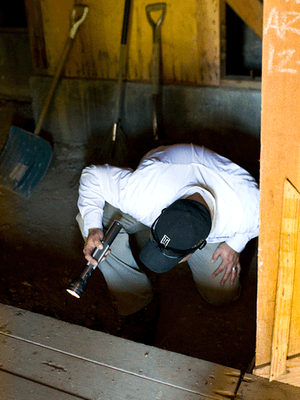 Do you need your home, crawl space, or attic inspected for rodent or pest activity? Not a problem, we can help!