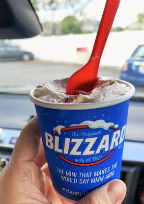 Mini Royal New York Cheesecake Blizzard Treat