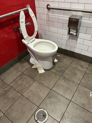 Restroom was filthy and toilet wouldn't flush