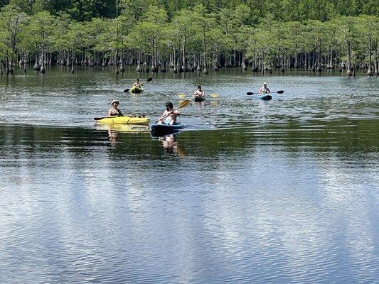 Lots of kayakers