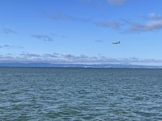 A plane landing at SFO.