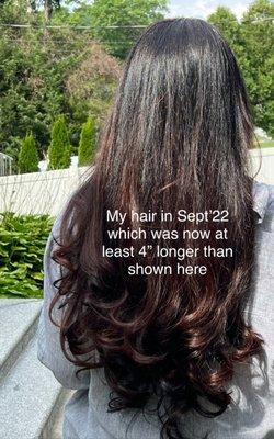 My hair in September 2022 which was now at least 4" longer than shown here.