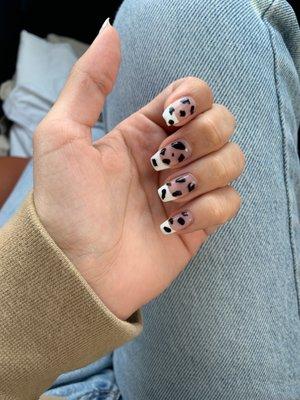 Gel Manicure, french tip w cow print.