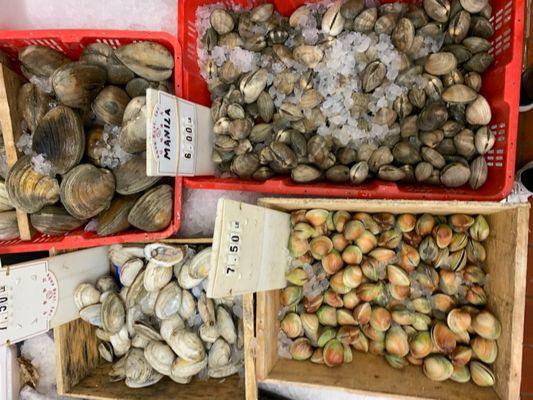 Assortment of shellfish